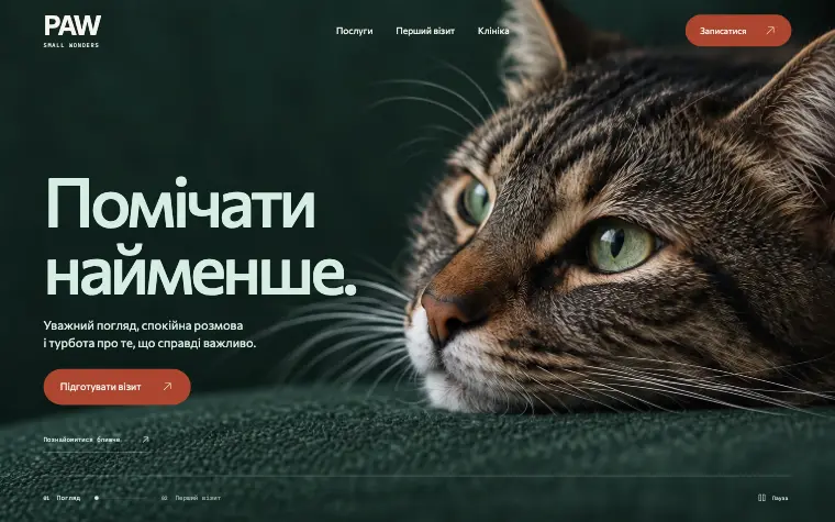 PAW · SMALL WONDERS — Головна