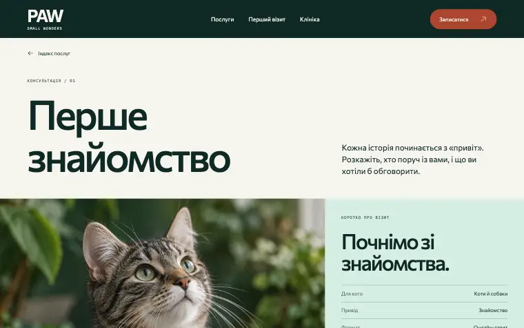 PAW · SMALL WONDERS — Перше знайомство